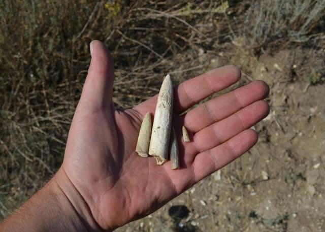 Гора Стеклянная. Фотография 4