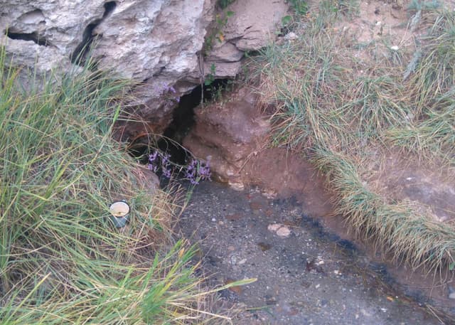 Солёное урочище Тузлукколь.. Фотография 5