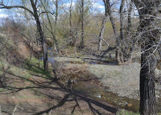 Водопропускной мост. Фотография 3