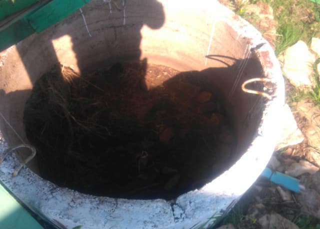 Сухой родник. Фотография 1