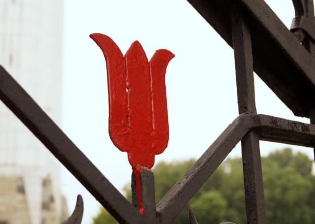 Мечеть "Ляля-Тюльпан". Фотография 2