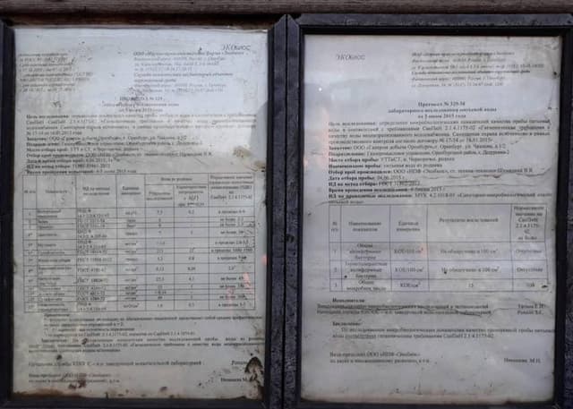 Двойной родник. Фотография 2