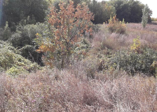 Двойной родник. Фотография 1