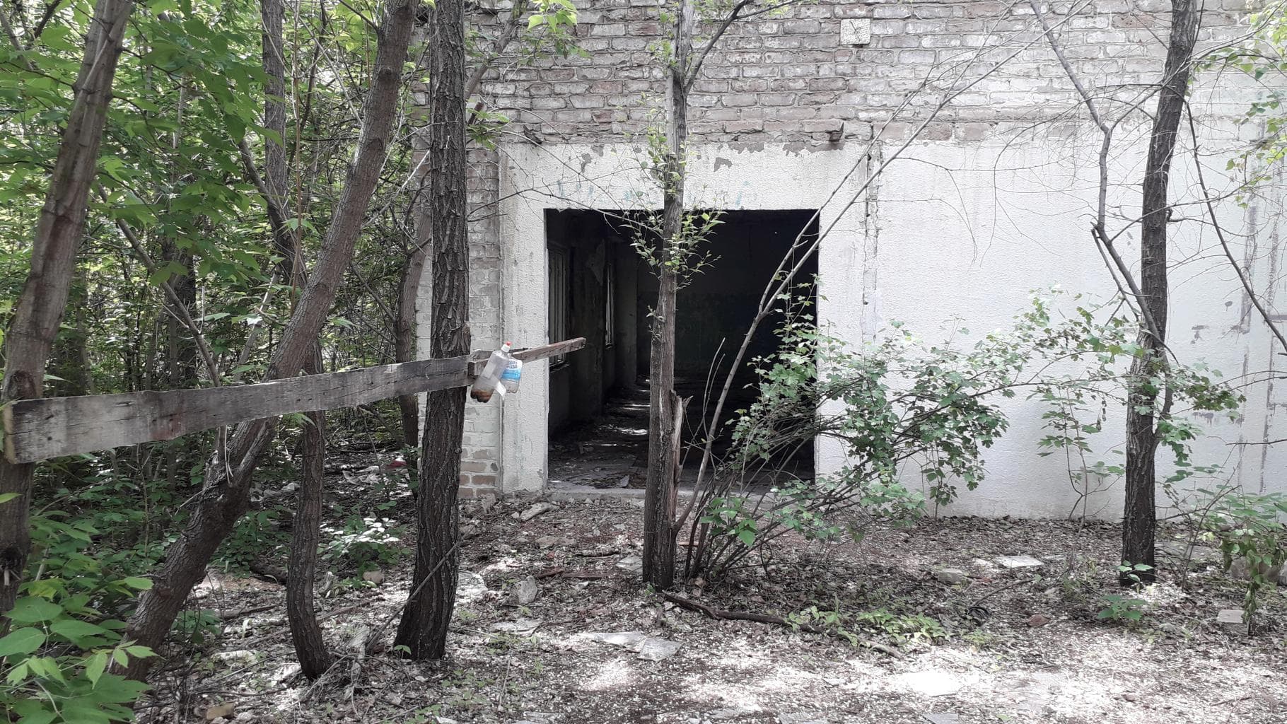 Заброшенный лагерь "Сакмарский" — фотография 1