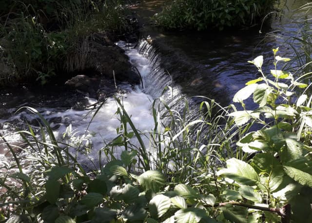 Родник у речки Ключи. Фотография 1