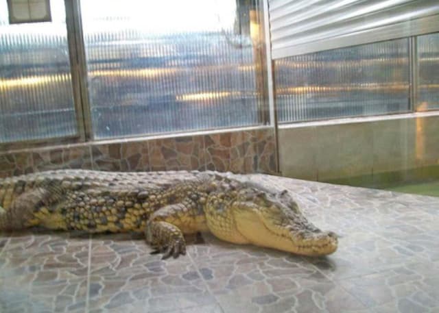 Самарский Зоологический Парк. Фотография 11