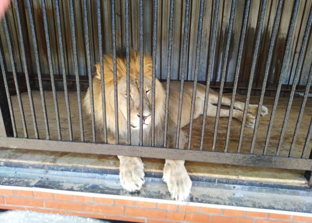 Самарский Зоологический Парк. Фотография 6