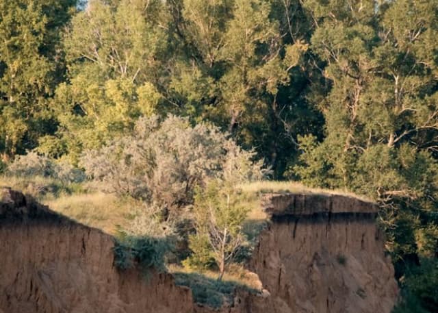 Обрыв у реки Сакмара. Фотография 1