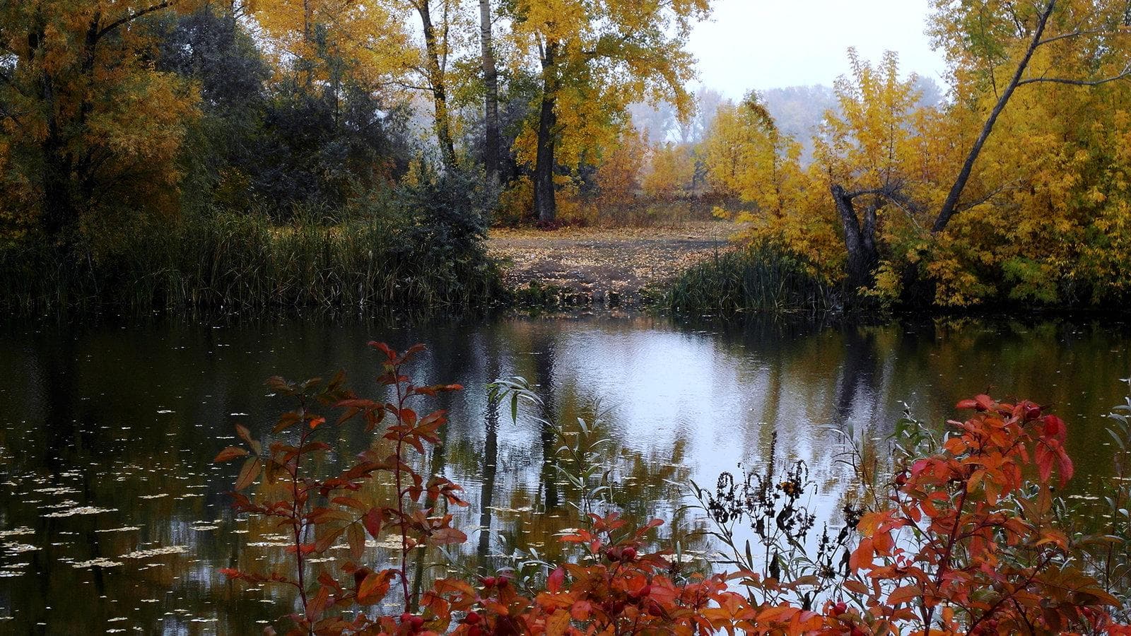 Озеро Малахово (Малашка) — фотография 4