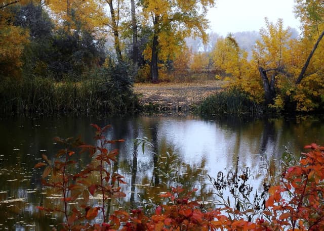 озеро Малахово. Фотография 4