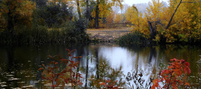 Озеро Малахово (Малашка)