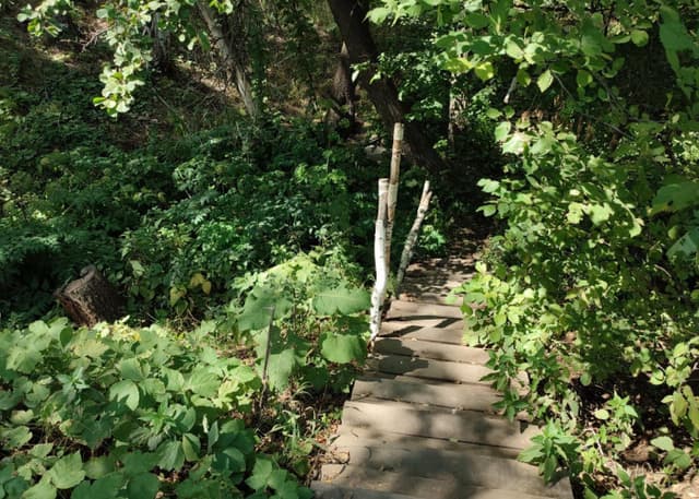 Родник Вишневка. Фотография 24