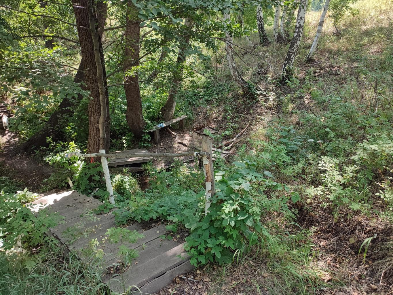 Родник Вишневка — фотография 3