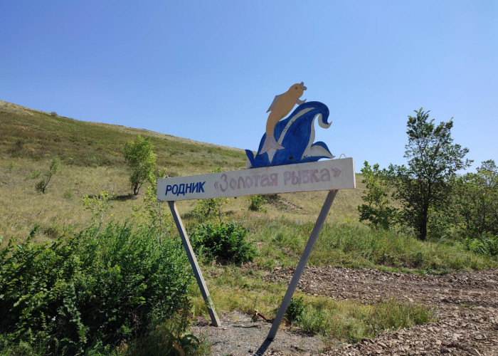 Родник "Золотая рыбка". Фотография 6