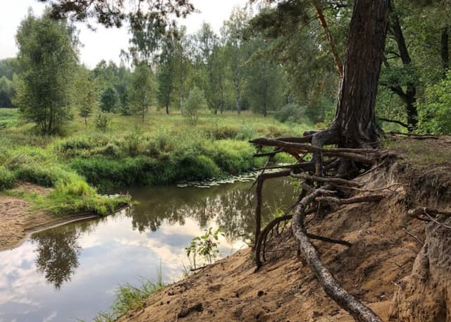 "Демьянов обрыв" на р.Поля. Фотография 2