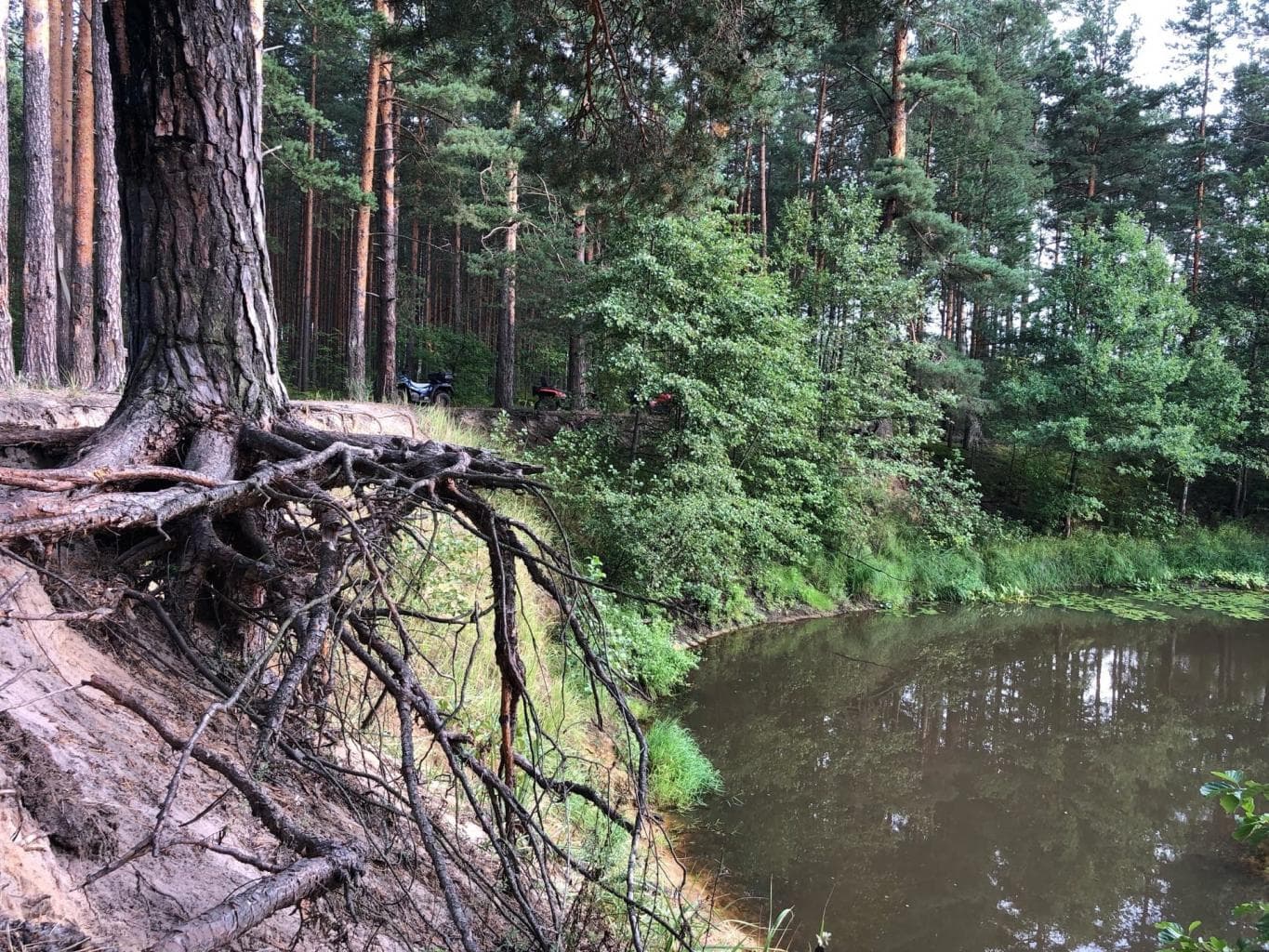 "Демьянов обрыв" на р.Поля — фотография 3