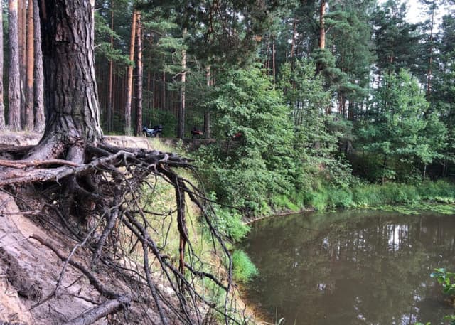 "Демьянов обрыв" на р.Поля. Фотография 3