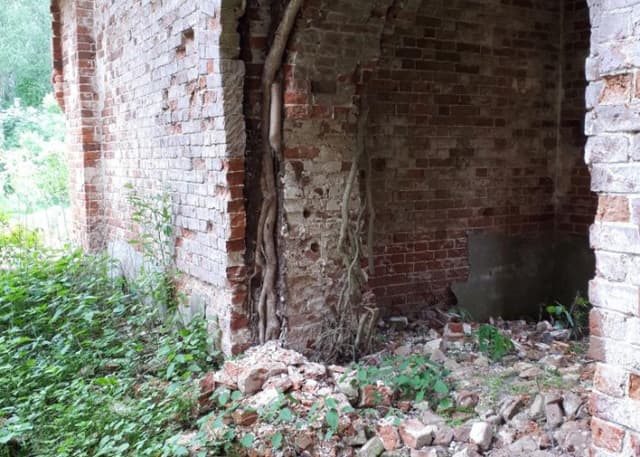 Церковь Рождества Пресвятой Богородицы (Курилово). Фотография 7