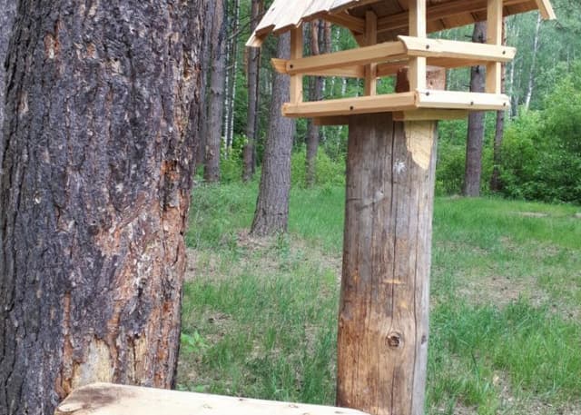 Колодец возле лесного храма. Фотография 1