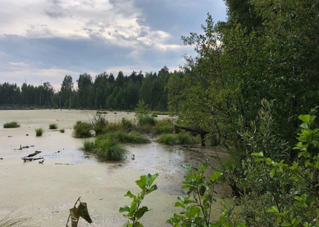 Озеро "Смердячье". Фотография 3