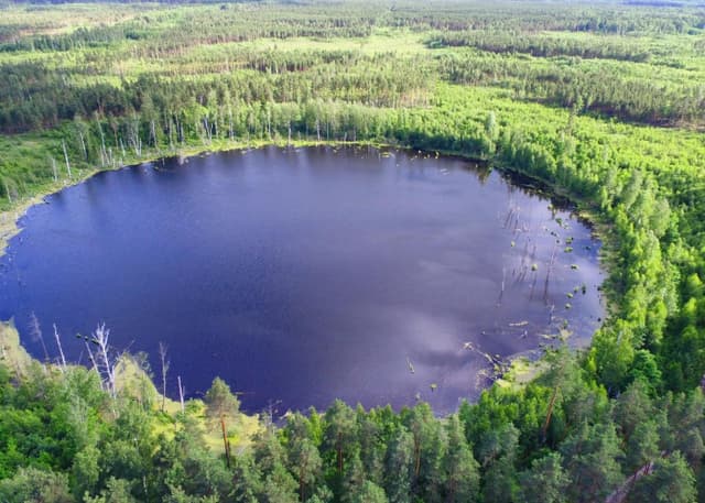 Озеро "Смердячье". Фотография 1