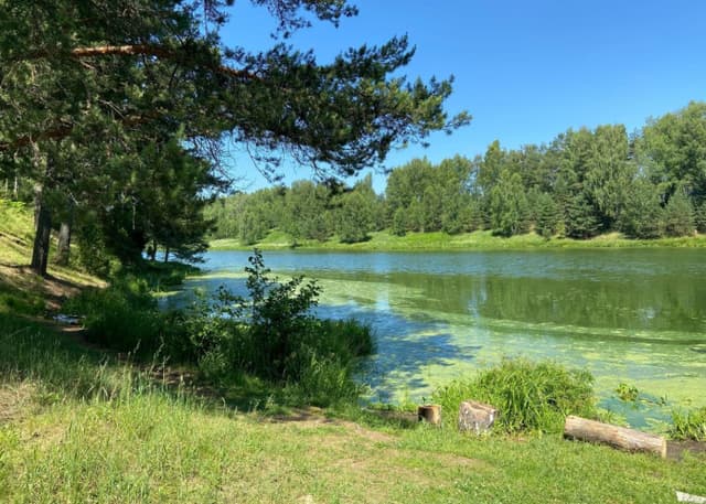 Василёвское озеро. Фотография 3