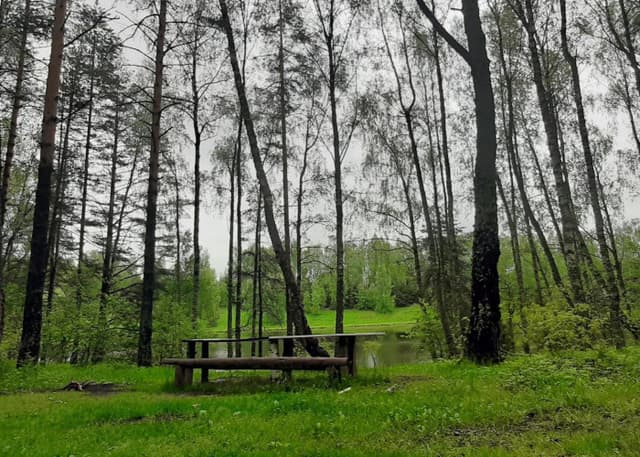 Василёвское озеро. Фотография 2