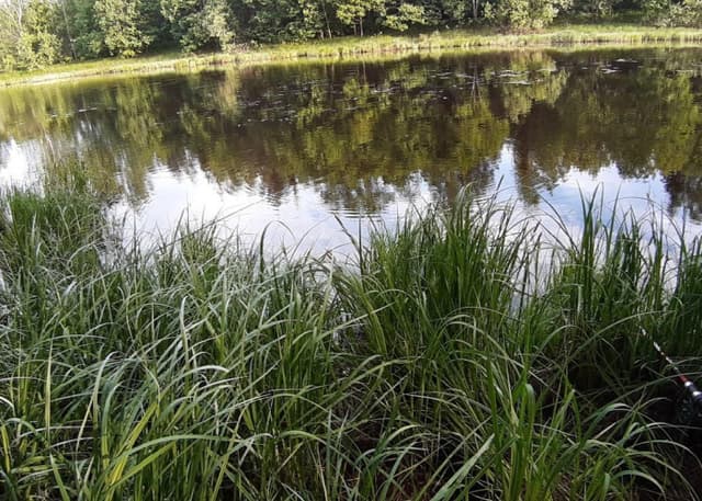 Заводь (старица) с домиком на берегу. Фотография 2