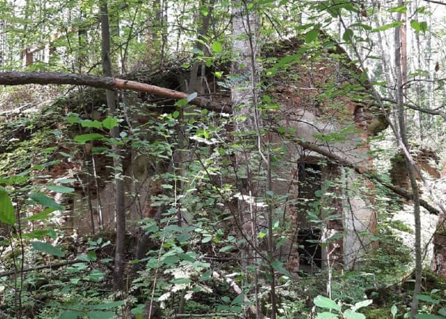 "Проклятый Старый Дом". Фотография 8