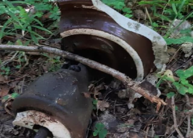 "Проклятый Старый Дом". Фотография 1