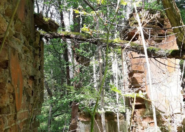 "Проклятый Старый Дом". Фотография 6