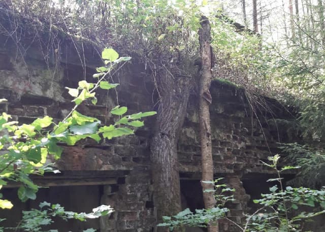 "Проклятый Старый Дом". Фотография 7