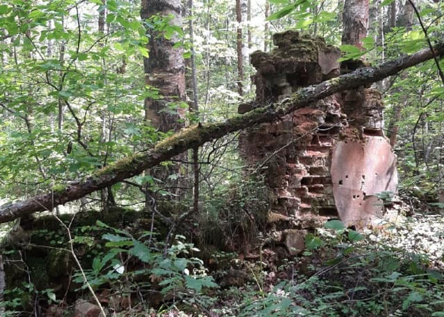 "Проклятый Старый Дом". Фотография 5