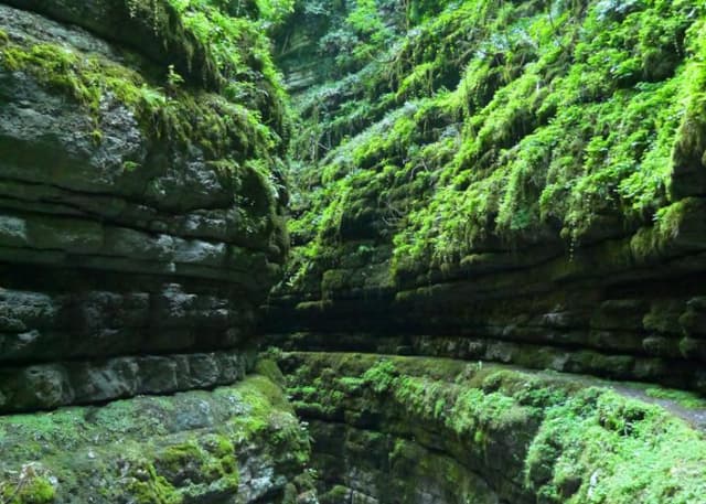 Хашупсинский каньон. Фотография 5