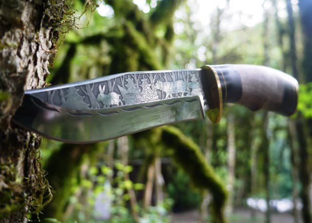 Самшитовый лес в Хашупсе. Фотография 1