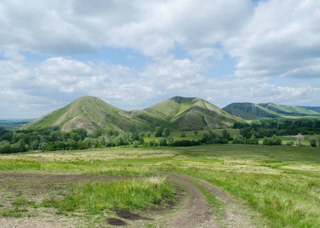 Андреевские шишки. Фотография 1
