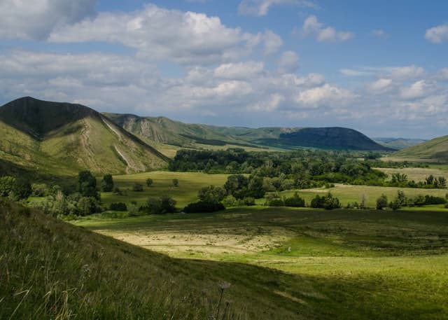 Андреевские шишки. Фотография 2