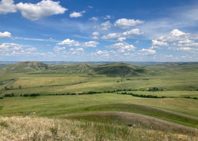 Андреевские шишки. Фотография 3