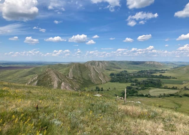 Андреевские шишки. Фотография 7