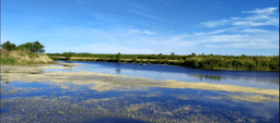 Марьевское водохранилище