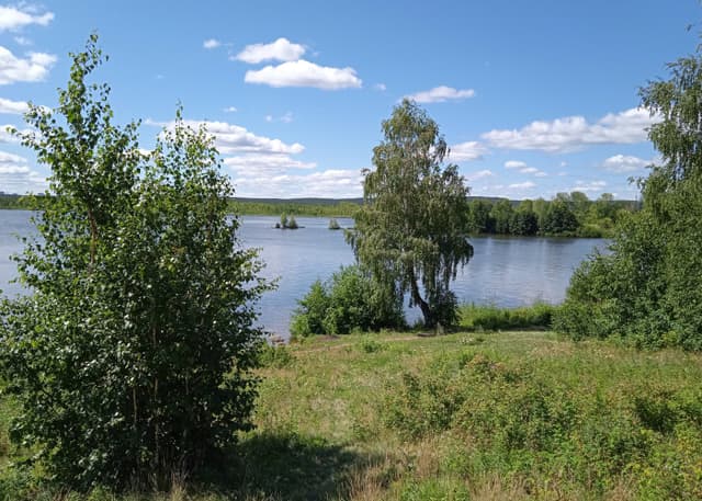 Место для ловли на фидер.. Фотография 8