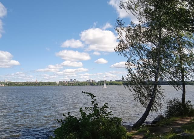 Место для ловли на фидер.. Фотография 7