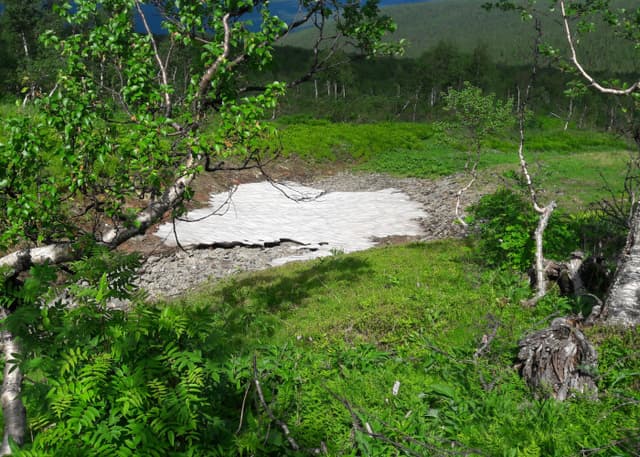 Место гибели группы Дятлова. Фотография 6