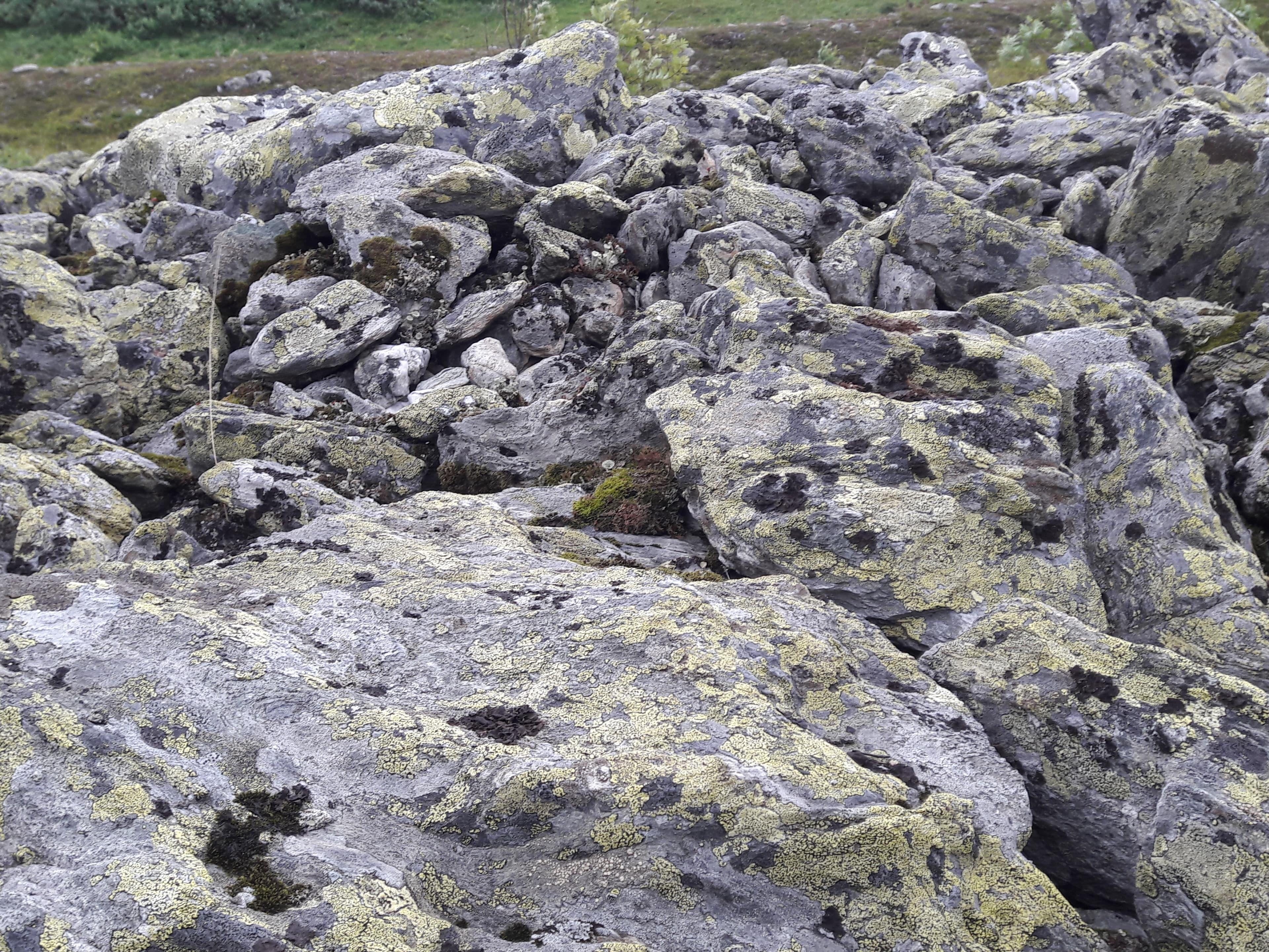 Dyatlov Pass — photo 5