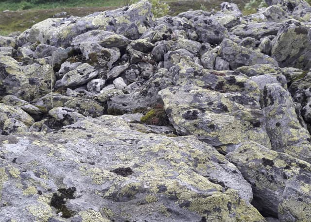 Место гибели группы Дятлова. Фотография 5