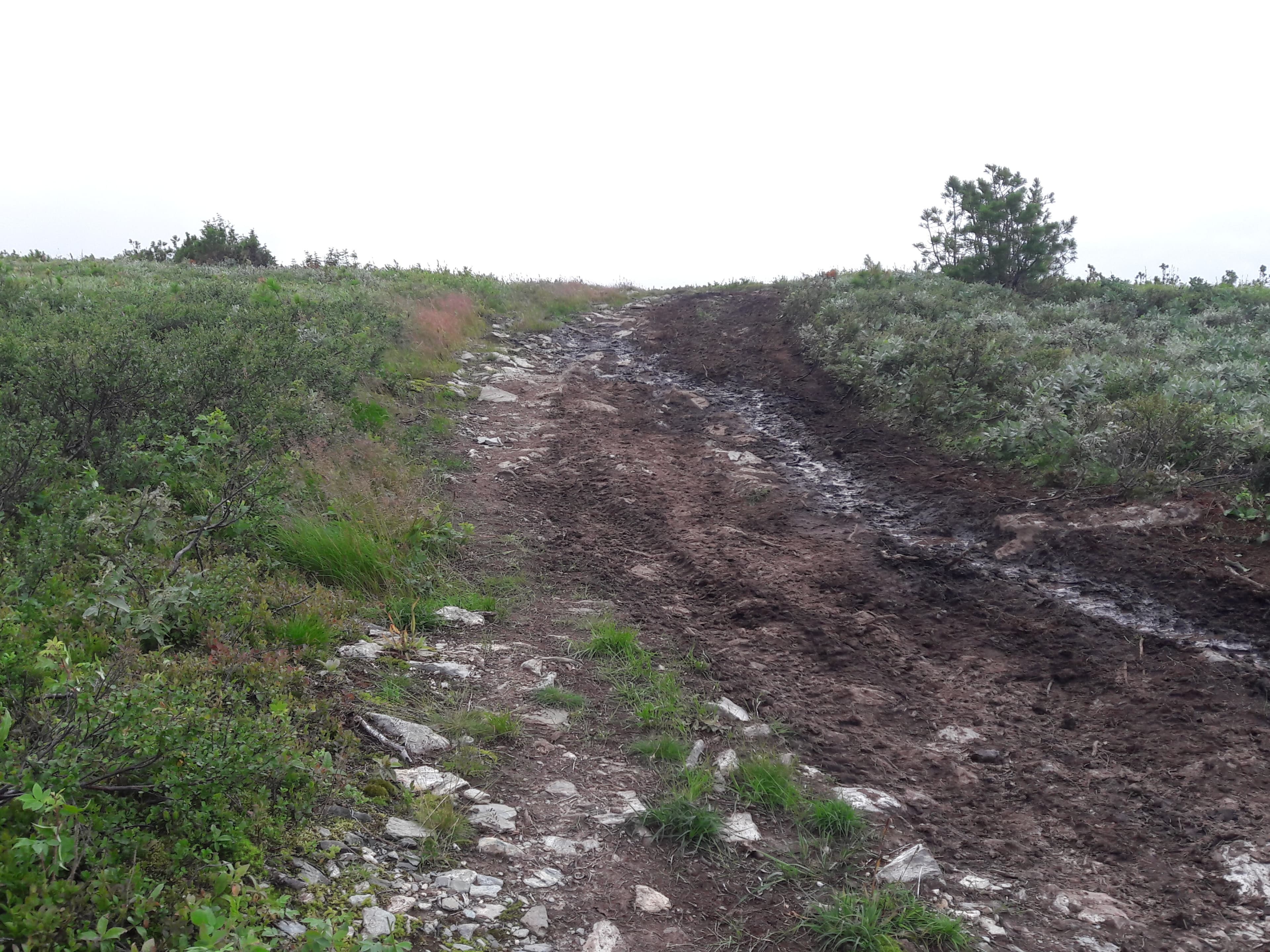 Dyatlov Pass — photo 4