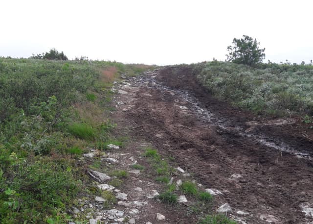 Место гибели группы Дятлова. Фотография 4