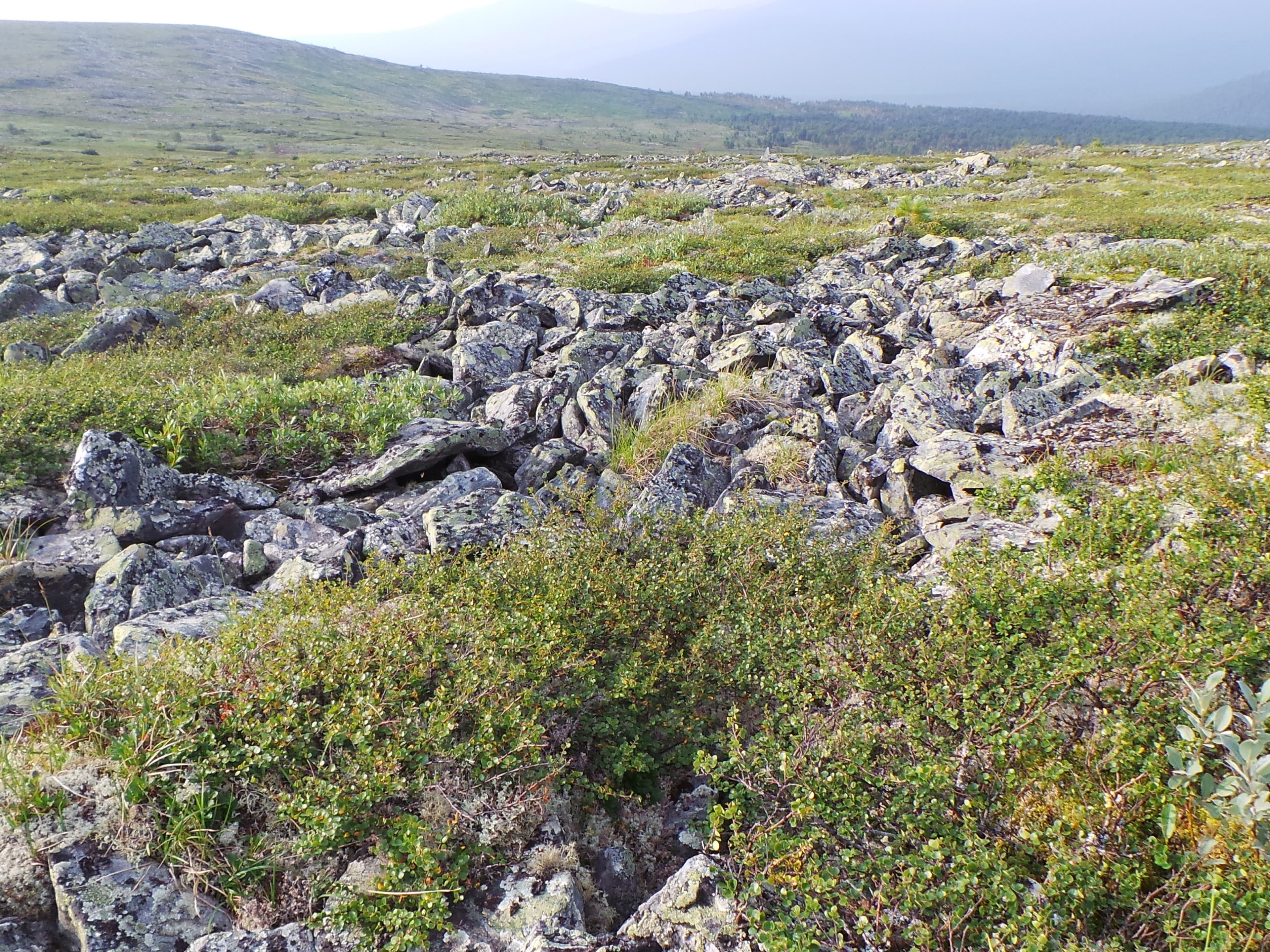 Dyatlov Pass — photo 3