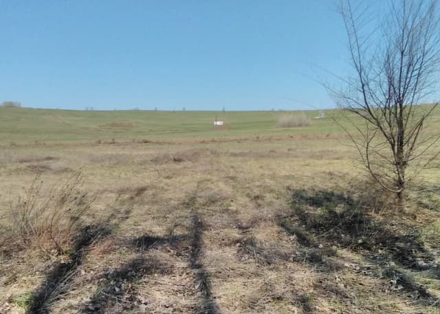 Эпицентр ядерного взрыва на Тоцком полигоне. Фотография 4