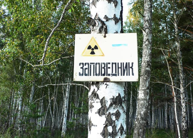 Эпицентр ядерного взрыва (Кыштымская авария). Фотография 28